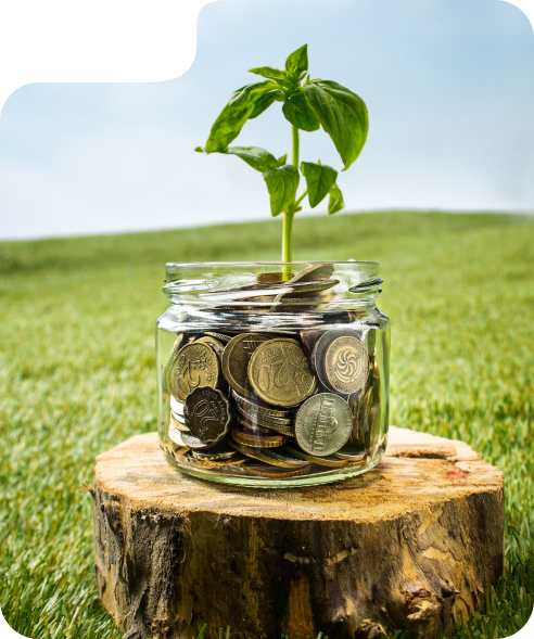 learnsection-right-image